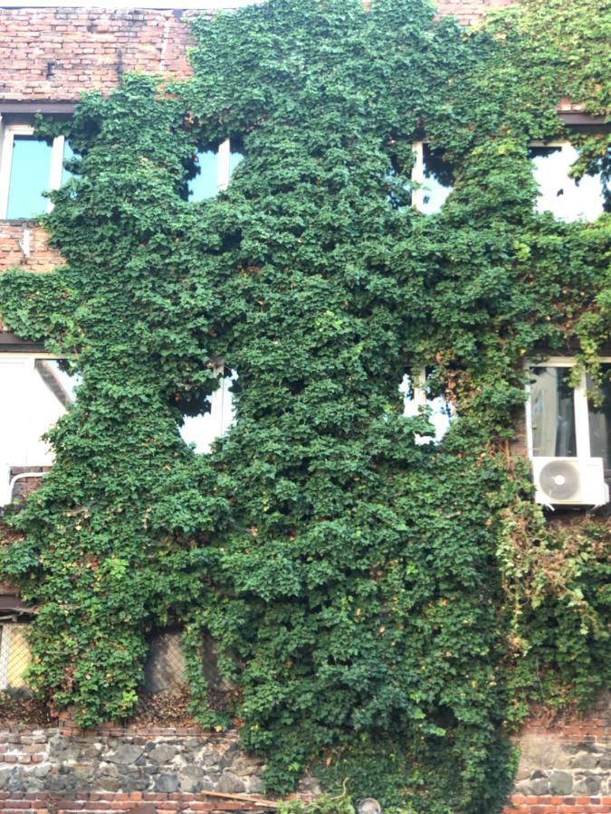 Center House Apartment Sofia Bagian luar foto